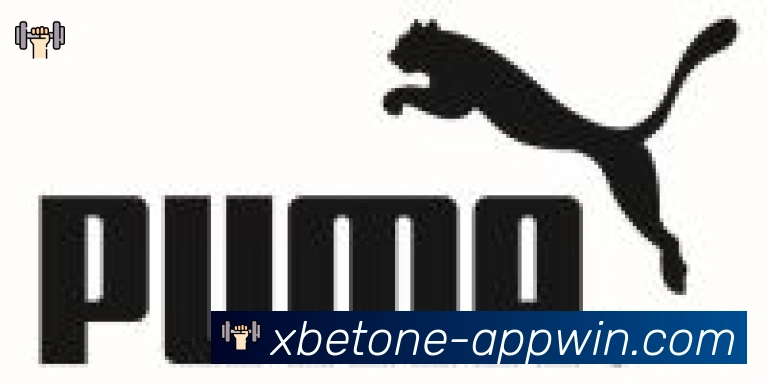 1xbet体育合作伙伴